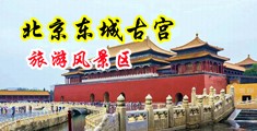 免费看操下面的网站中国北京-东城古宫旅游风景区